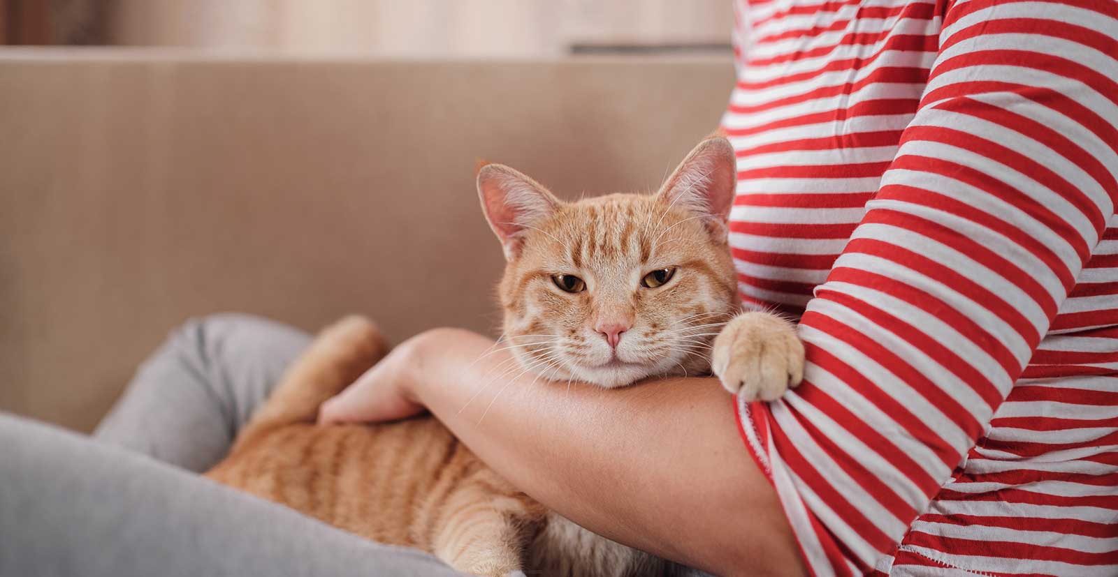 A woman holding a cat